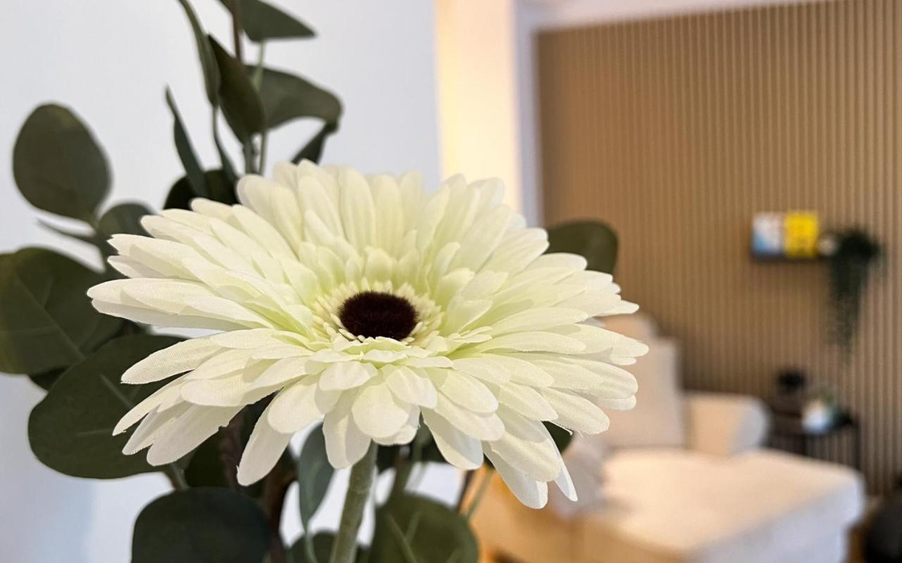 Modernes Studio Appartement Mit Leseecke Gernsbach Zewnętrze zdjęcie